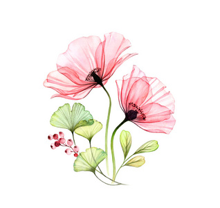 水彩花。两朵粉红色的花，白色的叶子和浆果分开。手绘艺术作品与详细的花瓣。卡片植物插画婚礼设计