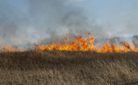 损害 生态学 火焰 木材 危险 灾难 运输 环境 破坏 警报器
