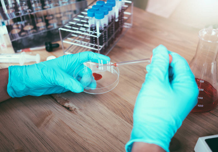 化学 生物技术 医学 测试 试剂 玻璃器皿 研究 医疗保健