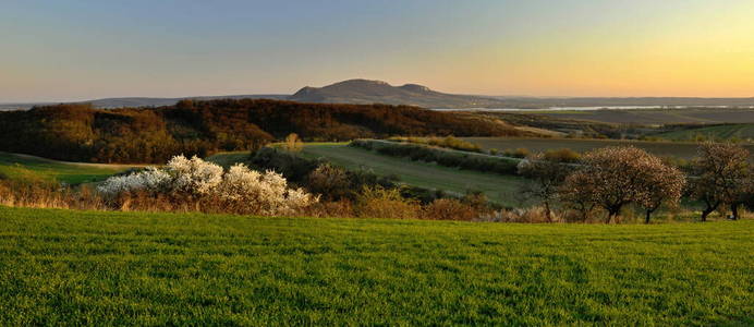 自然 夏天 春天 小山 风景 乡村 丘陵 全景图 天空 帕拉瓦