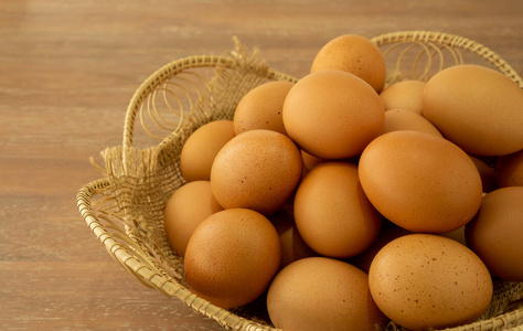 蛋黄 蛋白质 储存 生活 桌子 鸡蛋 食物 篮子 自然 动物