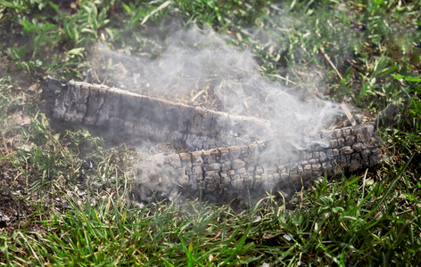 火焰 篝火 热的 野餐 自然 木材 木柴 木炭 地面 危险