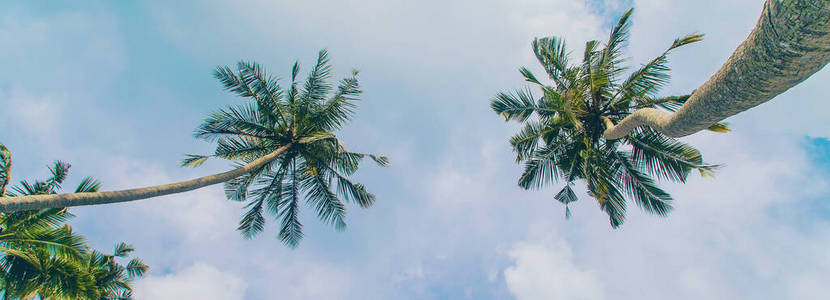 海湾 植物 天空 海滩 热带 假期 旅游业 放松 天堂 自然