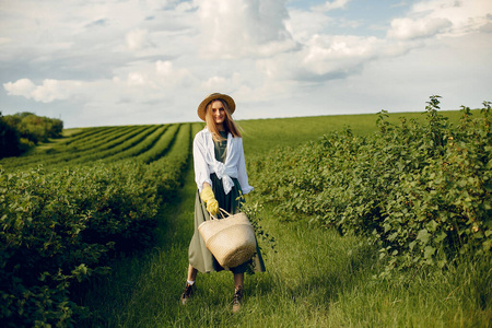 Elegant and stylish girl in a summer field