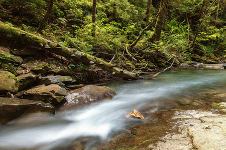 小溪 流动的 森林 风景 岩石 旅游业 巨石 荒野 场景