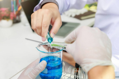 生物学 药物 液体 滴管 工人 测试 医学 玻璃器皿 测量