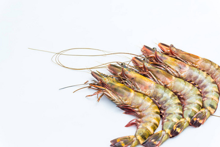 市场 亚洲 太平洋 餐厅 特写镜头 健康 对虾 烹饪 贝类