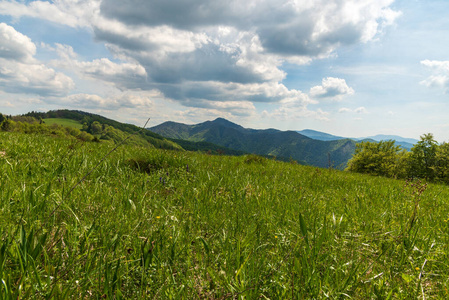 假期 马古拉 春天 克拉克 徒步旅行 天空 喀尔巴阡山 自然