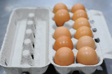 蛋白质 早餐 食物 烹饪 鸡蛋