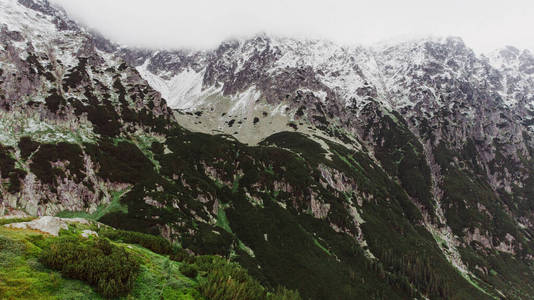 全景图 山谷 乡村 小山 春天 自然 旅行 风景 旅游业