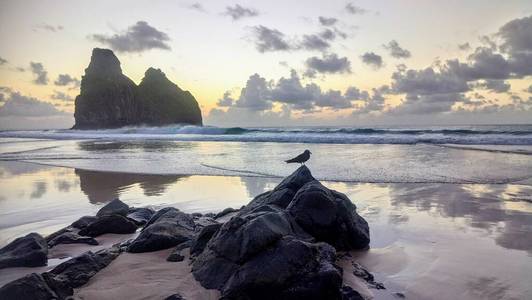 波动 风景 岩石 天堂 海滩 假期 傍晚 日出 海洋 太阳