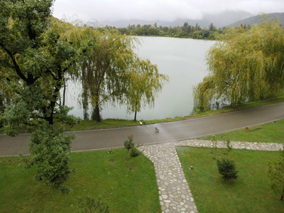 春天 美丽的 自然 旅行 夏天 公园 天空 环境 风景 花园