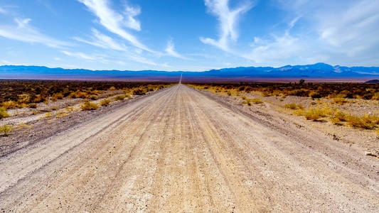 沙漠 自然 地质 地标 美国人 旅游业 基础 公路 西南