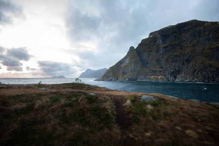 岩石 钓鱼 徒步旅行 美丽的 挪威语 夏天 海滩 自然 挪威