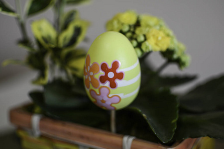 食物 收集 春天 季节 庆祝 篮子 特写镜头 四月 鸡蛋