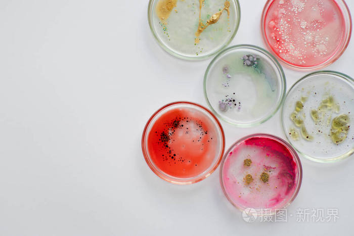 病毒和细菌在培养皿中研究细菌在实验室不同样品上的生长情况