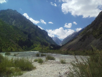 旅行 自然 阿尔卑斯山 徒步旅行 夏天 森林 高的 风景