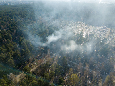 环境 乌克兰 木材 生态学 墓地 风景 破坏 森林 基辅