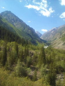 全景图 天空 山谷 旅行 夏天 古希腊语 小山 风景 森林