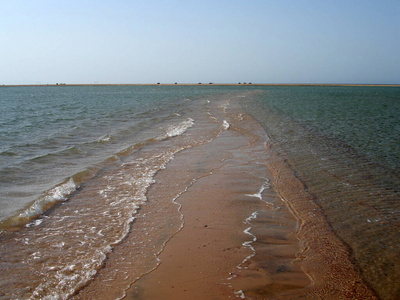 海岸 海洋 旅行 天空 假日 旅游业 达哈布 沙洲 自然