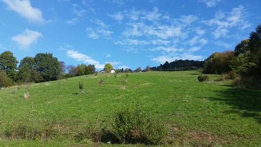 假期 全景图 山谷 草地 蒂罗尔 旅行 牧场 夏天 秋天