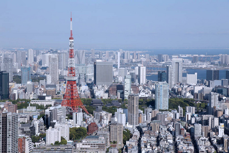 新宿 市中心 首都 天线 旅游业 日本人 建筑学 风景 黄昏