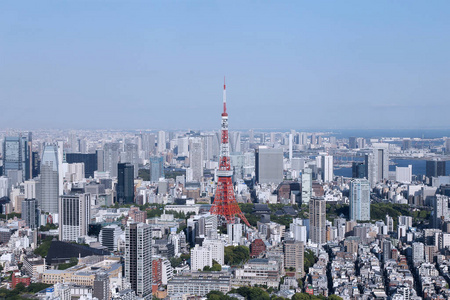 建筑 街道 吸引力 日本 亚洲 市中心 日本人 摩天大楼