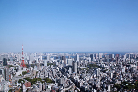 新宿 吸引力 旅游业 建筑 日落 旅行者 市中心 城市 亚洲