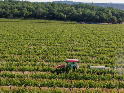 农用拖拉机在绿色葡萄园喷洒杀虫剂和杀虫剂除草剂。