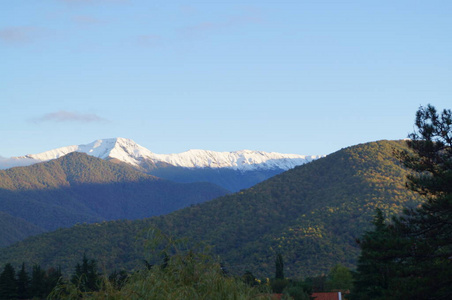 森林 自然 高的 公园 风景 全景图 天空 阿尔卑斯山 山谷