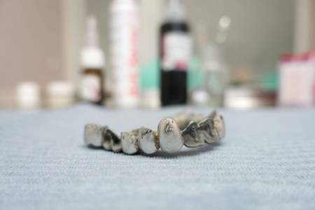 牙科 生产 实验室 建模 臼齿 健康 特写镜头 工作 对待