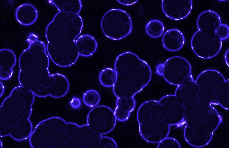 细菌 气泡 纹理 艺术 圆圈 插图 要素 颜色 墙纸 病毒