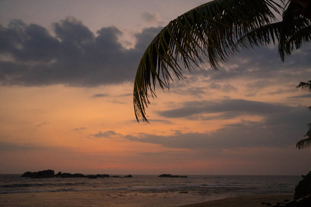 亚洲 日出 夏天 气候 太阳 热带 海洋 旅行 天空 椰子