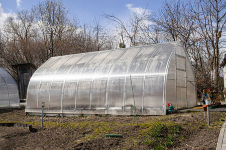 蔬菜 框架 农场 园艺 植物 行业 市场 屋顶 阳光 塑料