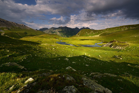 草地 山谷 自然 领域 小山 公园 森林 旅游业 环境 夏天