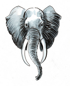 绘画 稀树草原 动物群 水彩 素描 插图 动物 动物园 艺术品