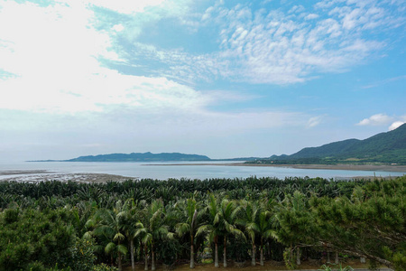 环境 旅行 季节 场景 风景 小山 冲绳 美丽的 夏天 自然