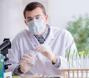 在植物实验室工作的男生化学家图片