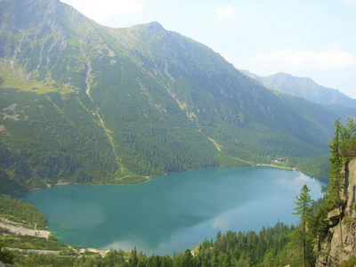 森林 旅行 美丽的 反射 全景图 山谷 夏天 天空 风景