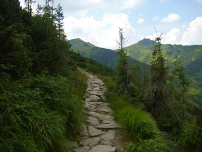 岩石 反射 自然 夏天 美丽的 森林 挪威 小山 阿尔卑斯山