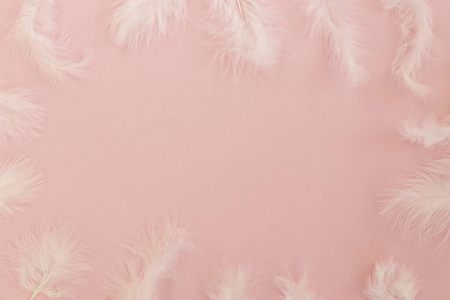 作文 羽毛 艺术 粉红色 纹理 布局 软的 框架 颜色 春天