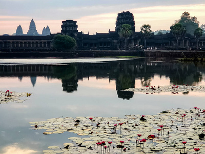 收获 佛陀 地球 瓦特 建筑 柬埔寨 柬埔寨人 网站 寺庙