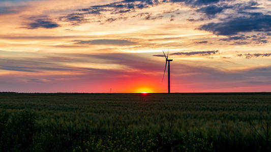 生态学 生产 风力涡轮机 生态 能量 效率 日落 草地 自然