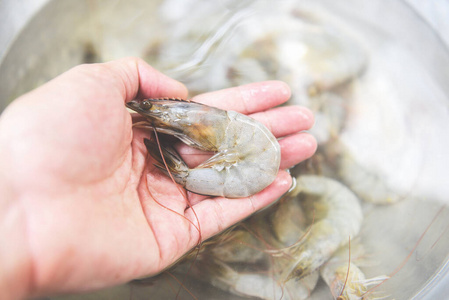 烹饪 美味的 动物 海洋 甲壳类动物 商业 剥皮 自然 海鲜