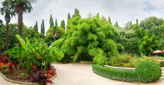 公园 树叶 郁郁葱葱 花园 季节 天气 竹子 植物 秋天