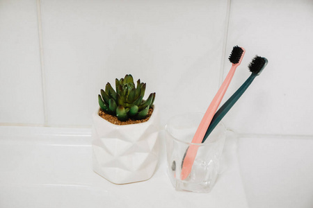 照顾 洗漱用品 个人的 特写镜头 牙膏 氟化物 呼吸 治疗