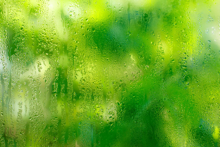 露珠 圆圈 反射 透明的 雨滴 环境 清爽 潮湿 自然 露水