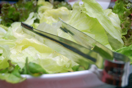 营养 特写镜头 美食家 生物学 收获 美味的 植物 沙拉