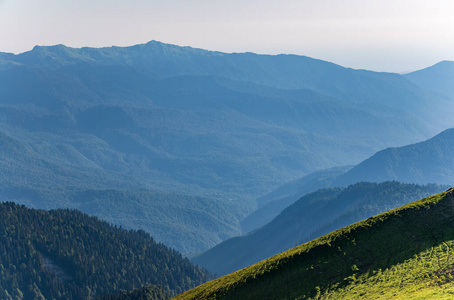 俄罗斯 夏天 阿尔卑斯山 领域 高的 山谷 薄雾 全景图