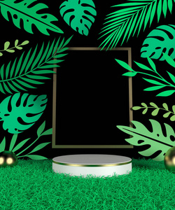 棕榈 平台 房间 时尚 空的 植物 极简主义 插图 三维